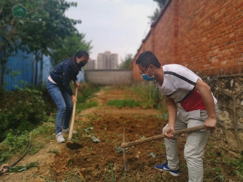 1584932034945838.jpg 2.jpg